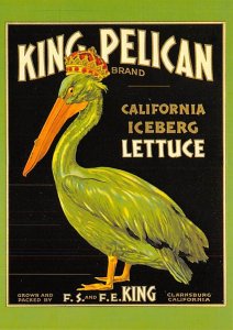 King Pelican, California Iceberg Lettuce 