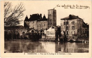 CPA Nemours vue sur le Loing et le Chateau (1267708)