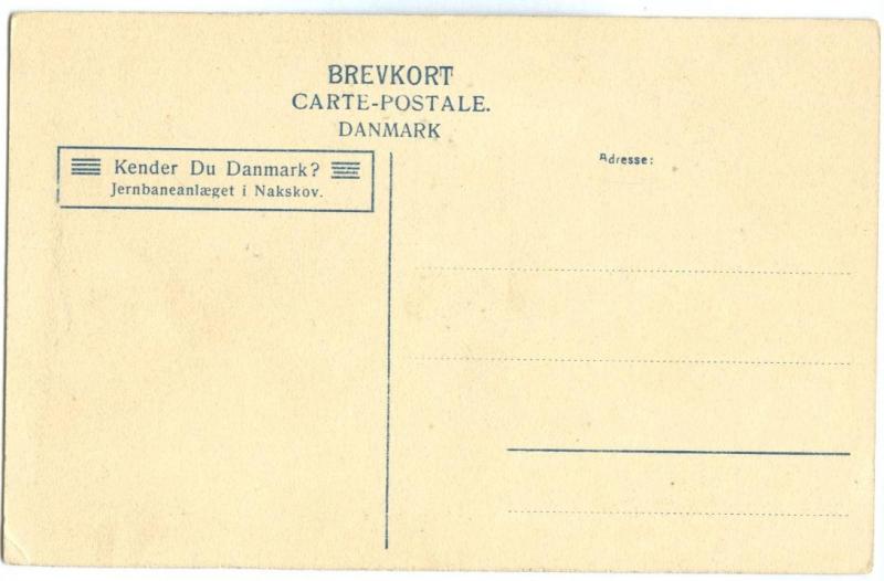 Denmark, Jernbaneanlægget i Nakskov early 1900s unused Postcard