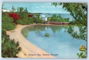 Bermuda Postcard Boat in River Mangrove Bay Somerset 1950 Vintage Posted