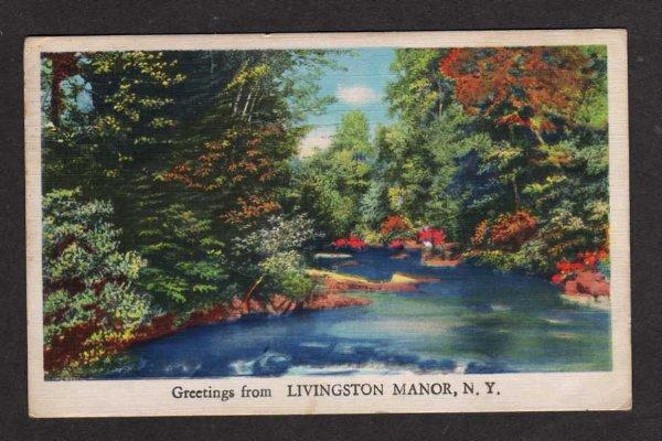 NY Greetings  LIVINGSTON MANOR NEW YORK Linen Postcard