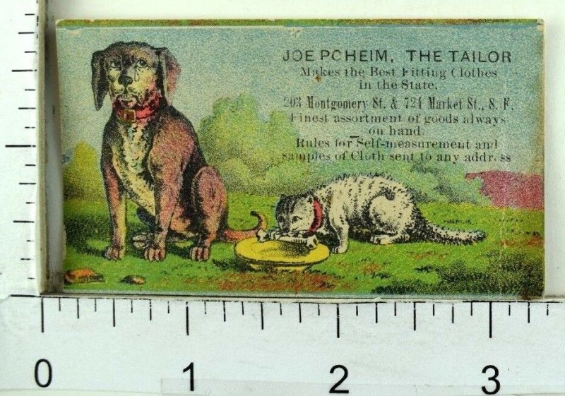 1870's-80's Lovely Dog Cat, Joe Pcheim, The Tailor San Francisco, CA Card F99