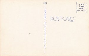 Deer Buck Faster than Guy Trying to Make Fast Buck - Humor - Comic