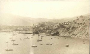 Avalon Catalina Island CA Harbor & Shore Hotels Unidentified Real Photo Postcard