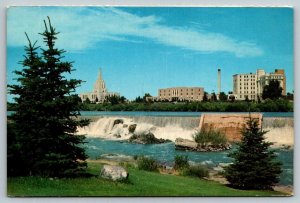 L. D. S.  Mormon Temple   Idaho Falls    Idaho  Postcard