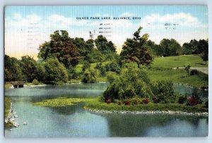 1954 Bellevue Ohio Postcard Silver Park City Mecca Outdoor Community Flocks