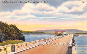 Ashokan Bridge - Catskill Mountains, New York NY  