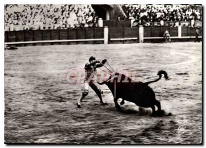 Postcard Modern banderillas Racing Bulls Laying the Cuarto Bullfight