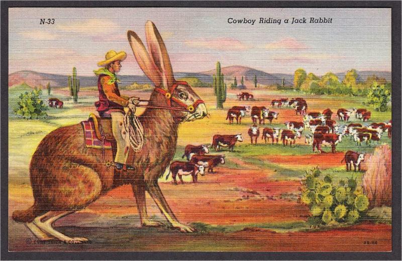 Cowboy Riding a Giant Jack Rabbit Exaggeration Linen Comic Postcard