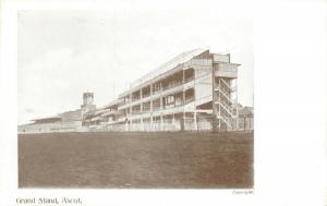 Berkshire ASCOT RACECOURSE Grand Stand & Horse Race early postcard