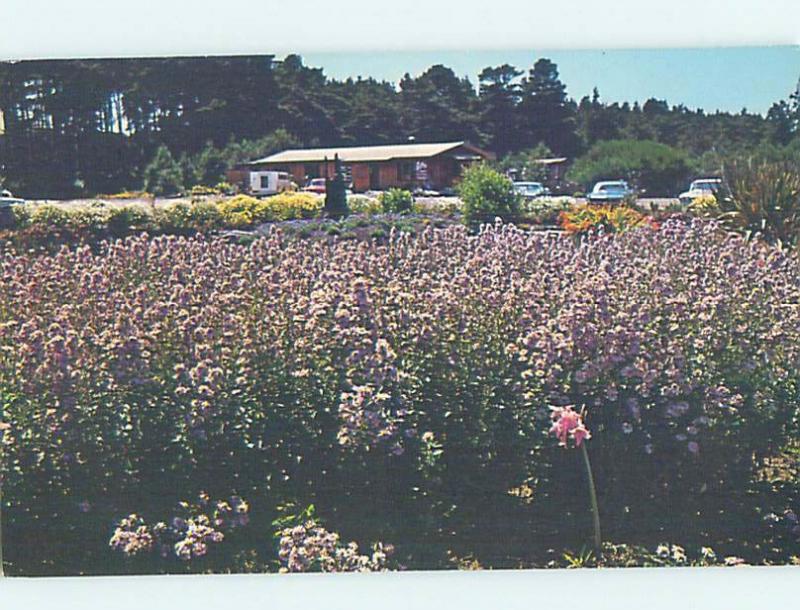 Unused Pre-1980 BOTANICAL GARDEN Fort Bragg California CA hn3768-16