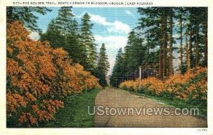 Golden Trail - Oregon Coast Highways, Oregon