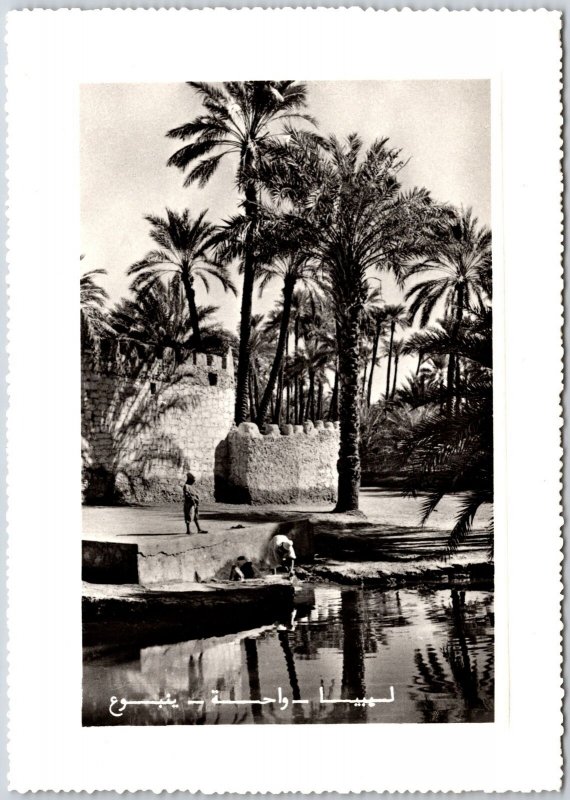 Libya Oasis Palm Trees Beach Castle Real Photo RPPC Postcard