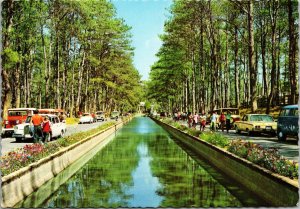 Wright Park Baguio City Philippines Postcard PC70