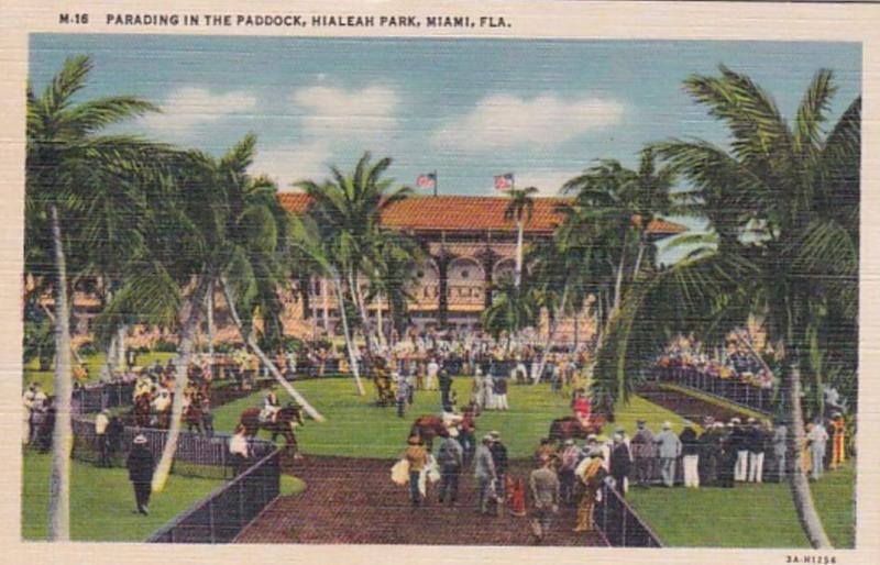 Florida Miami Hialeah Park Parading In The Paddock Horse Racing Curteich