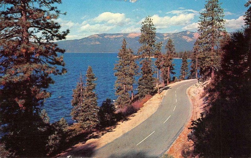 Roadside Scene LAKE TAHOE Sierra Mountains 1966 Chrome Vintage Postcard