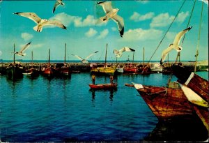 MIN0016 kuwait harbour of pearl fishers fleet ships boats seagulls