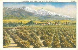 Mount Baldy Oranges & Snow in Winter White Border Postcard Unused