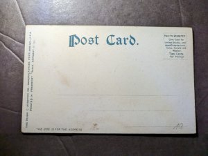 Mint USA Native American Postcard The Chiefs Squaws Indians