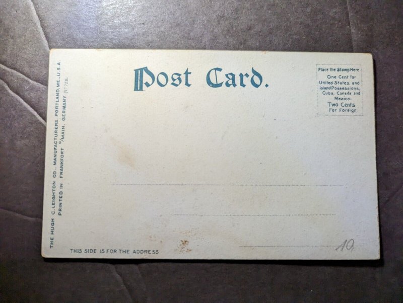 Mint USA Native American Postcard The Chiefs Squaws Indians