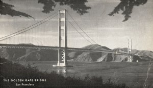 Vintage Postcard The Golden Gate Suspension Bridge San Francisco California CA