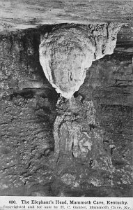 The elephant's head Mammoth Cave KY