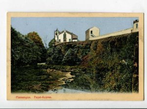 299850 PORTUGAL FLAMENGOS Fayal-Acores Azores Vintage postcard