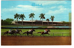 Thoroughbred Horses Racing at Hialeah Racecourses, Miami, Florida