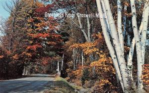 CROSWELL, MI Michigan  TREE LINED ROAD~FALL LEAVES  Sanilac Co  Chrome Postcard