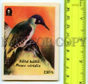 500283 HUNGARY Bird Picus Viridis Vintage match label