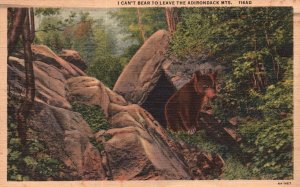 Vintage Postcard 1947 Bear In Adirondack Mountains Rocks Trees Animal Habitat NY