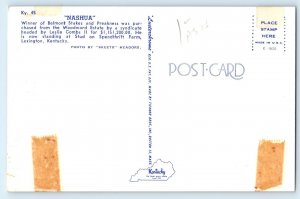 c1960 Lexington Kentucky Postcard Nashua Winner Belmont Stakes Spendthrift Farm