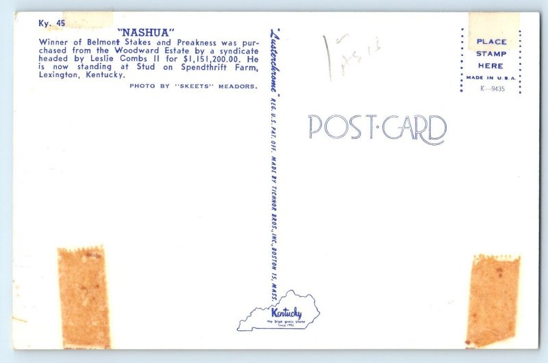 c1960 Lexington Kentucky Postcard Nashua Winner Belmont Stakes Spendthrift Farm