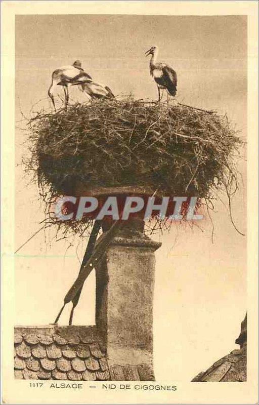 Old Postcard Alsace Storks Nest