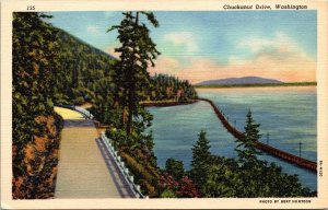 Chuckanut Drive Washington Scenic Pacific Landscape Forest Road Linen Postcard 