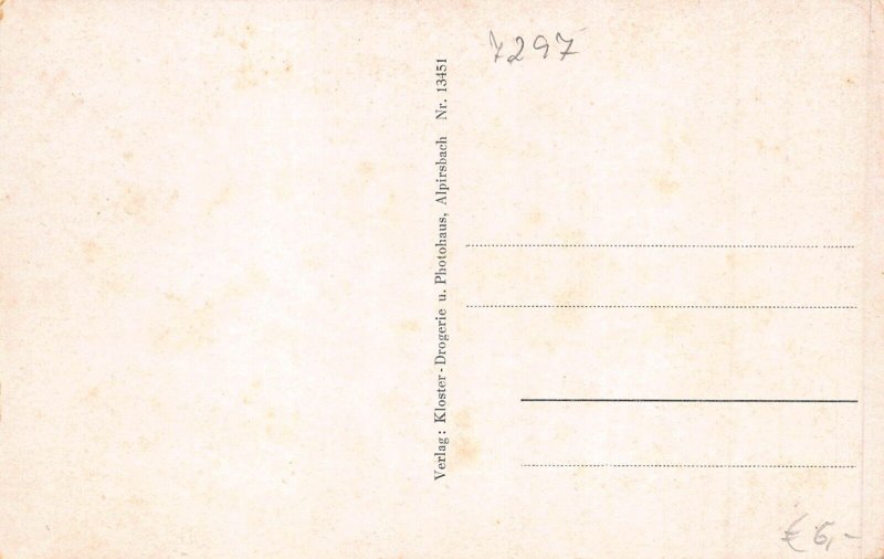 L344 Germany Alpirsbach Panoramic view vintage postcard