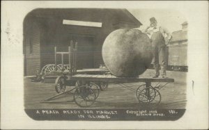 Illinois RR Train Station Depot Giant Peach Exaggeration Publ Centralia RPPC