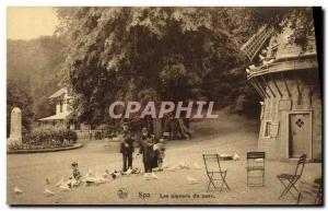 Old Postcard Pigeons Spa Mill Park