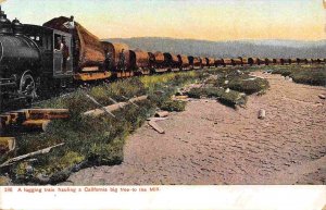 Logging Train Hauling California Big Tree to Mill 1910c postcard