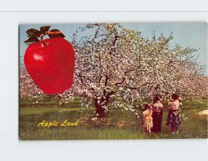 Postcard Apple Land, California