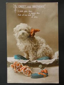 Birthday Greeting A PUPPY IN A BASKET A Happy Birthday c1927 RP Postcard