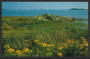 Maine - Cape Porpoise - Goldenrod - [ME-028]