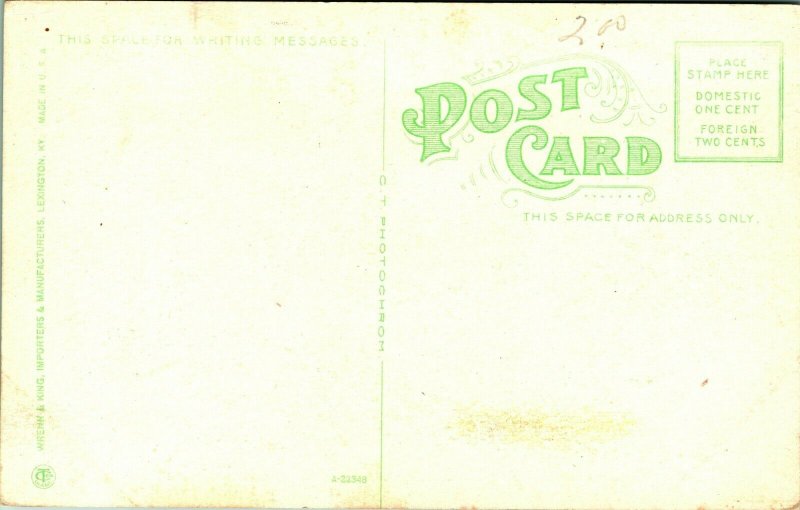 Giants Coffin Mammoth Cave Kentucky KY UNP 1910s Vtg Postcard 
