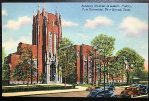 Vintage Postcard 1940 Peabody Museum of Natural History Yale New Haven CT