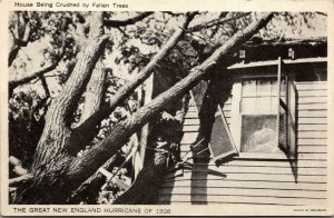 Vtg Great New England Hurricane 1938 House Crushed by Tree Disaster Postcard