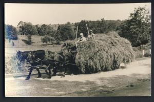 Horses/Team Pulling Hay Wagon Postcard, RPPC, Real Photo