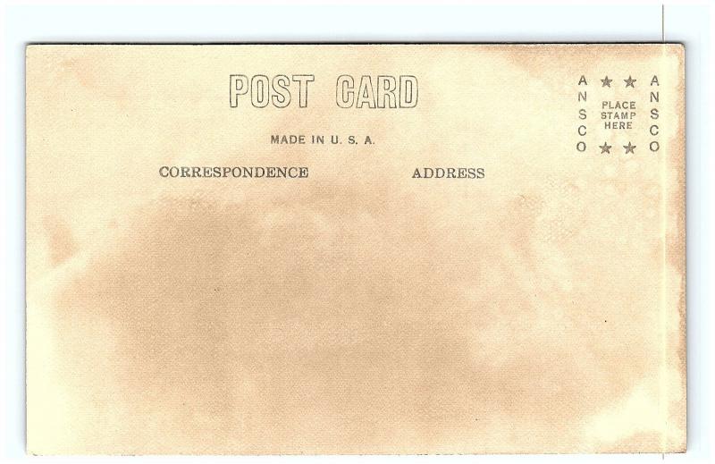 Postcard ID Luby Bay Papoose Island Priest Lake Idaho RPPC Real Photo G15