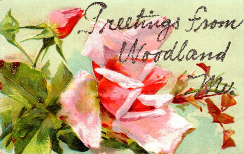 Maine Woodland Greetings With Flowers 1908