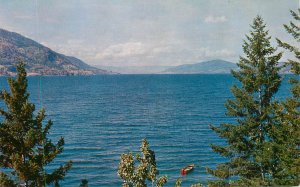 Lot of 10 scenic postcards Canada Okanagan Lake & Skaha Lake British Columbia