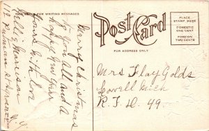 Christmas Birds Scene BIN